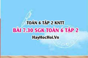 Bài 7.30 SGK Toán 6 tập 2 Kết nối tri thức